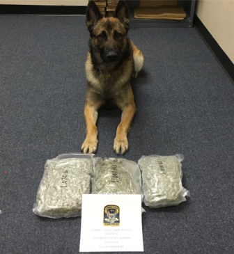 K9 and 3 lbs of pot 2-17-16