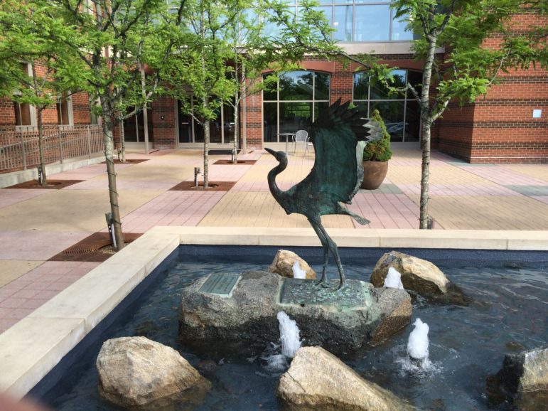 Children s Book Week At Darien Library Lots Of Kids Activities The 