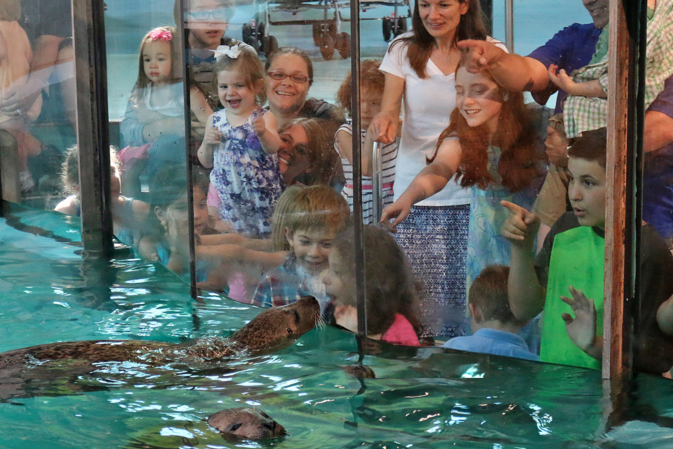 Maritime Aquarium kids seals 5-3-16