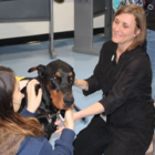 Therapy Dogs DHS thumbnail 01-24-17