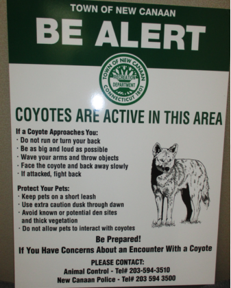 Coyote Sign Waveny Park 04-05-17