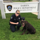Grizzly Police Dog Leslie DaSilva 04-18-17