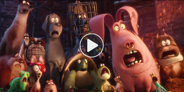 The Secret Life of Pets from the trailer 06-28-17