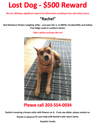 Wanted poster for lost dog rachel nusslein family 12-15-17