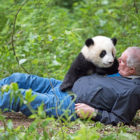 Pandas IMAX movie