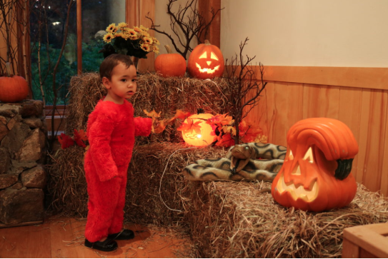 Halloween Hoot n Howl event Darien Nature Center preview for 2018