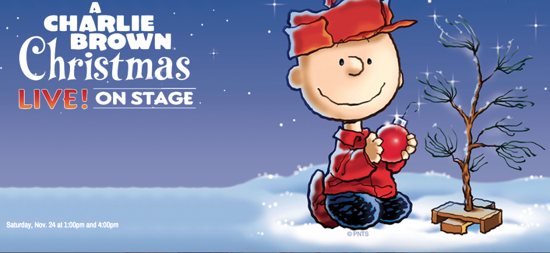 A Charlie Brown Christmas Palace Theatre 2018 Facebook dimensions