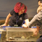 Volunteer Maritime Aquarium