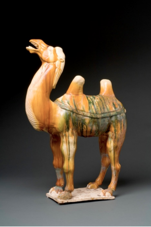 Caravan Camel Tang Dynasty Chinese Glazed Pottery