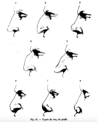 https://en.wikipedia.org/wiki/Human_nose#/media/File:Topinard_nasal_index.png