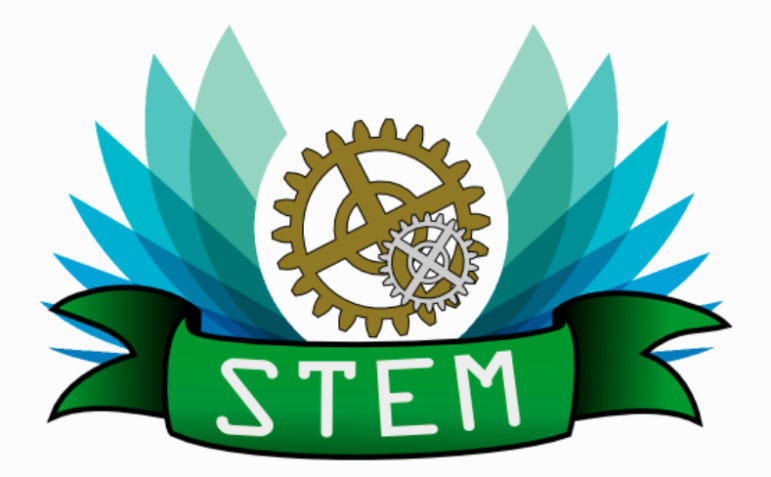 Stem Tween Make Week 2019