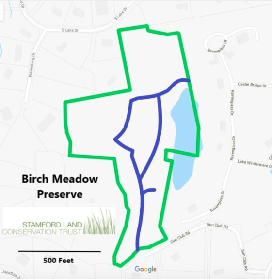 Birch Meadow Preserve Stamford