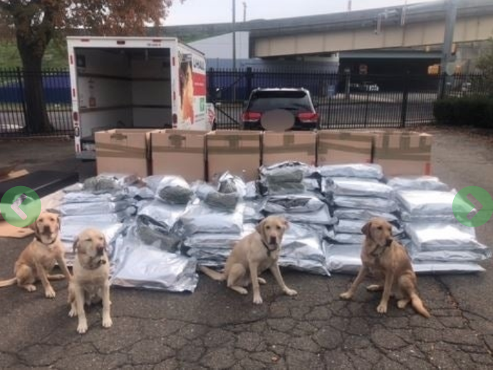 pot haul state police October 2019