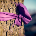 Purple Ribbon Darien Domestic Abuse Council Domestic Violence