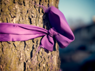 Purple Ribbon Darien Domestic Abuse Council Domestic Violence