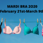The Undies Project Feb March 2020