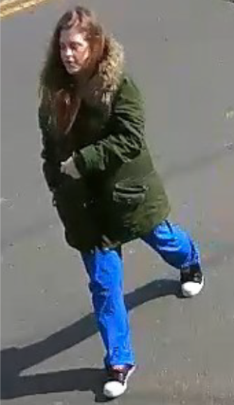 Greenwich P.D. Looking for This Woman