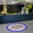 Aquarium denizens await visitors COVID-19 reopening June 2020