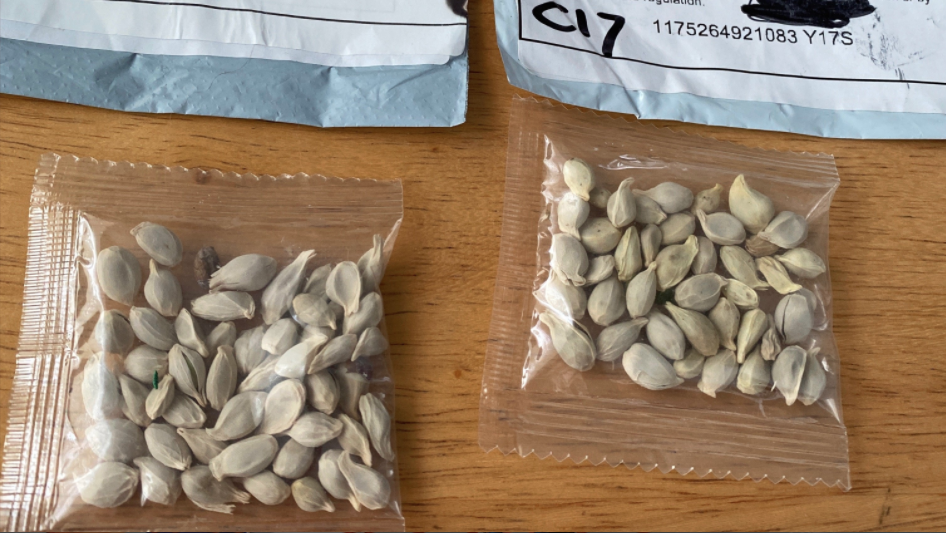 Unsolicited seeds, apparently from China 2020