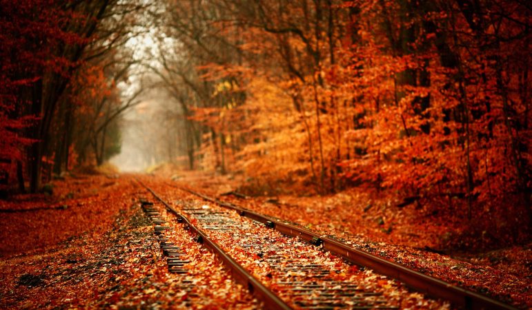 Fall leaves train tracks slippery when wet
