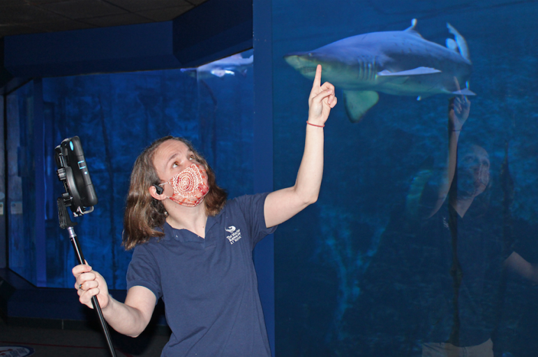 Bridget Cervero Maritime Aquarium Points to Sharks