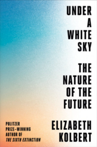 Under a White Sky book cover