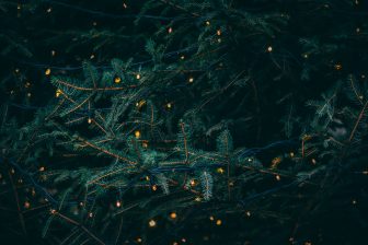 Christmas lights Christmas tree