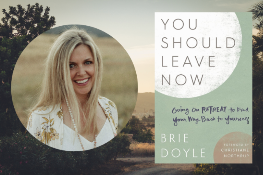 You Should Leave Now Brie Doyle book and author
