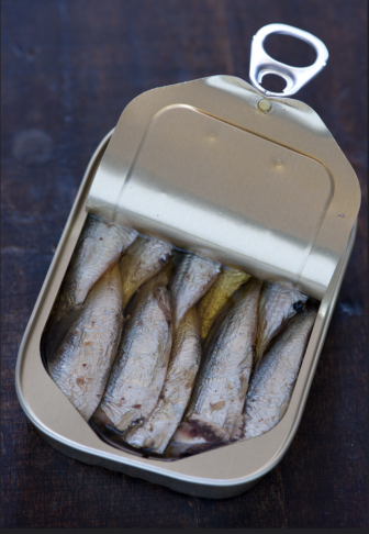 Sardines in a can closely packed