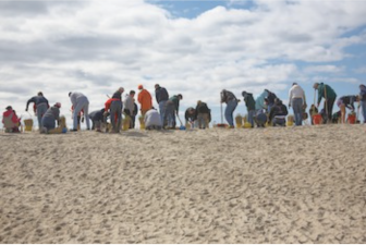 Save the Sound beach cleanup?