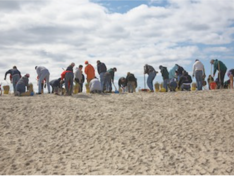 Save the Sound beach cleanup?